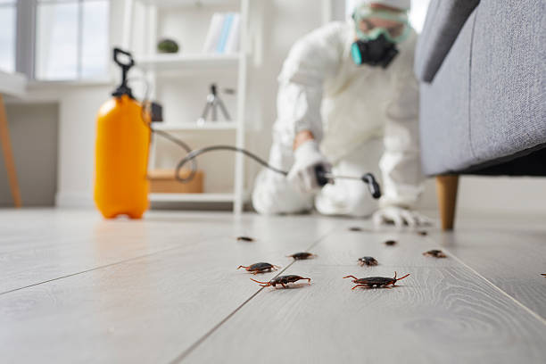 Trusted Cockroach Control service in Eagleville, PA - Nex Pest Control